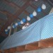 db_1_Oktoberfeschd_23_10__104_3