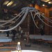 db_1_Oktoberfeschd_23_10__49_3