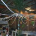 db_1_Oktoberfeschd_23_10__92_2