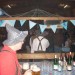 db_1_Oktoberfeschd_23_10__97_2