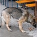 db_DSCF00771