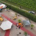 db_Wustenparty_18_Juli_2009__165_1