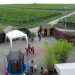 db_Wustenparty_18_Juli_2009__168_1