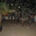 db_Wustenparty_Juli_2010__121_1