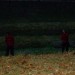 db_Nachtumzug_Pfaffenweiler_06_02__29_2