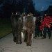 db_Nachtumzug_Pfaffenweiler_06_02__42_2