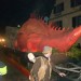 db_Nachtumzug_Pfaffenweiler_06_02__63_2