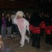db_Nachtumzug_Pfaffenweiler_06_02__82_2
