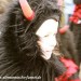 db_Umzug_March_10_01__14_2