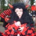 db_Umzug_March__31_1