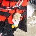 db_Fasnet_Sundig_Umzug_Gottenheim_14_02__65_1