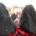 db_Umzug_Eschbach_17_01__18_1