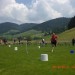 Olympiade 2010 (13) (Large)