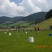 Olympiade 2010 (18) (Large)