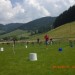Olympiade 2010 (26) (Large)