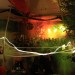 IMG_3941 (Large)