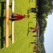 IMG_4389 (Large)