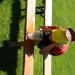 IMG_4392 (Large)