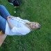 IMG_4398 (Large)
