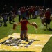 IMG_4399 (Large)