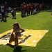 IMG_4406 (Large)