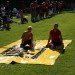 IMG_4407 (Large)